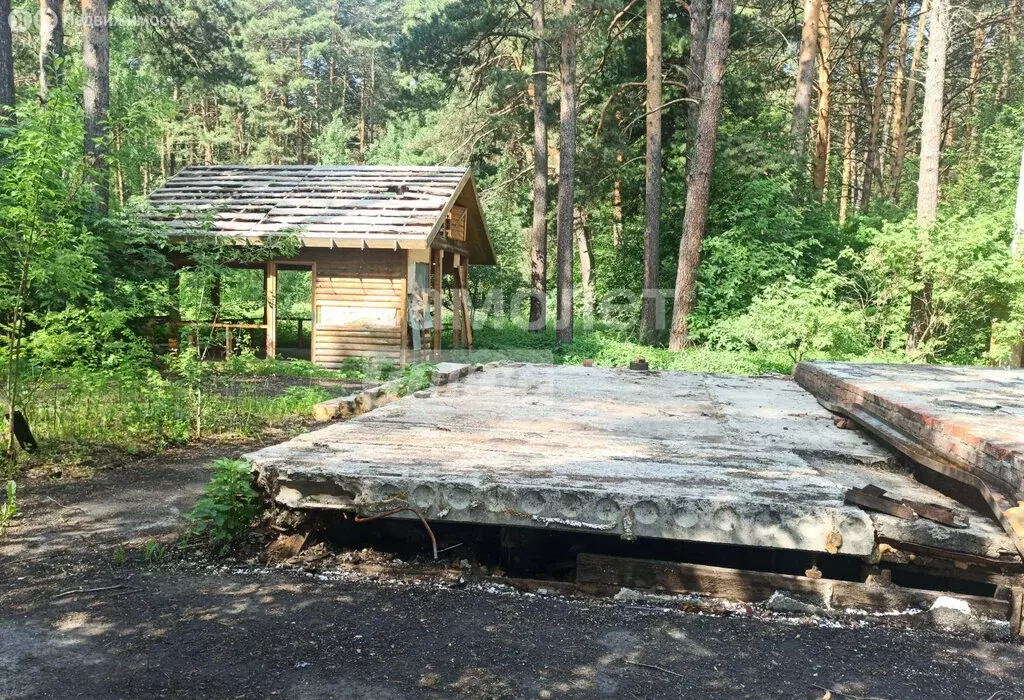 Участок в Томск, Басандайская улица, 37 (8 м) - Фото 1