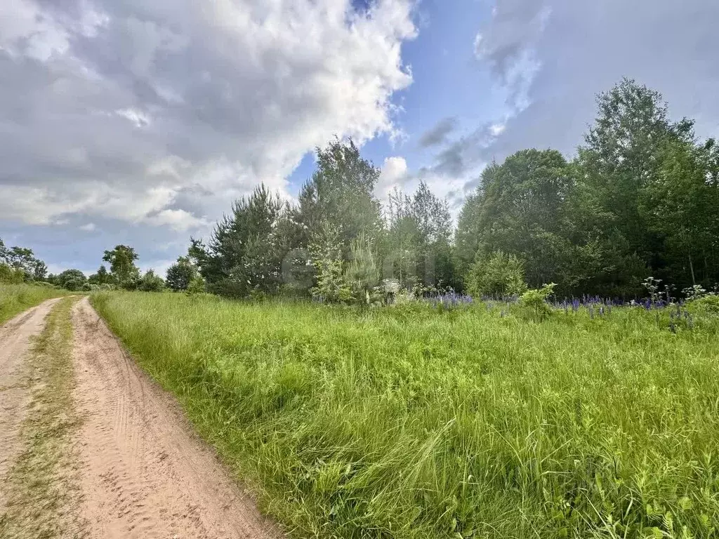 Участок в Смоленская область, Ярцево ул. Рябиновая, 12 (12.0 сот.) - Фото 1