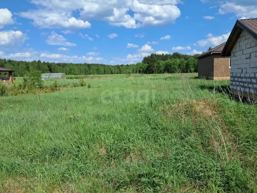 Участок в Ярославская область, Ярославский муниципальный округ, д. ... - Фото 2