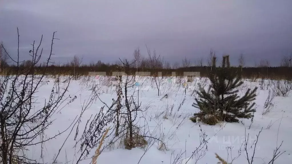 Участок в Ленинградская область, Выборгский район, Рощинское городское ... - Фото 1