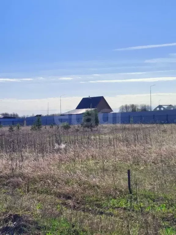 Участок в Тюменская область, Тюменский район, Новокаменский кп  (11.0 ... - Фото 1