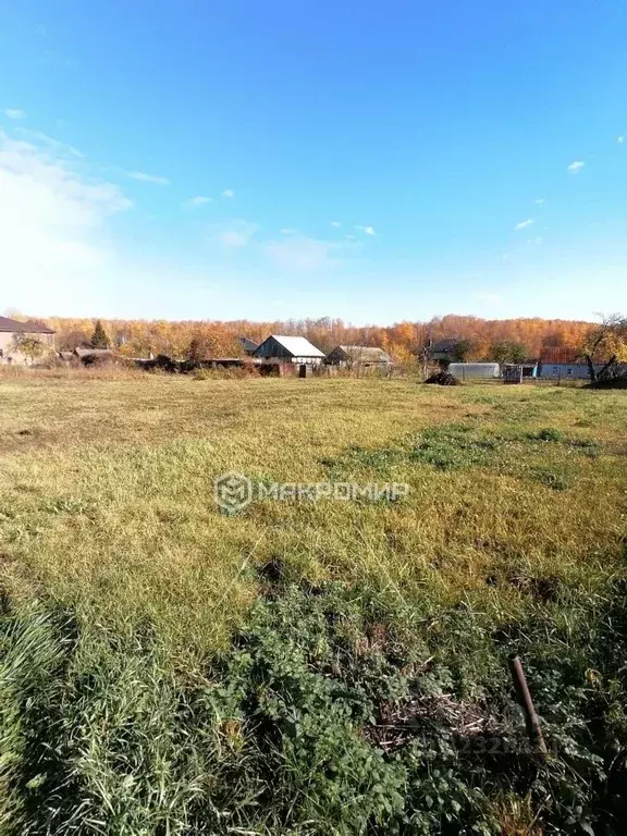 Участок в Брянская область, Брянский район, пос. Мичуринский Озерная ... - Фото 2