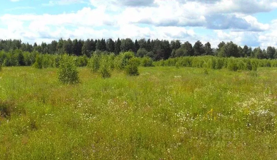 Участок в Тверская область, Конаковский муниципальный округ, Деревня ... - Фото 0