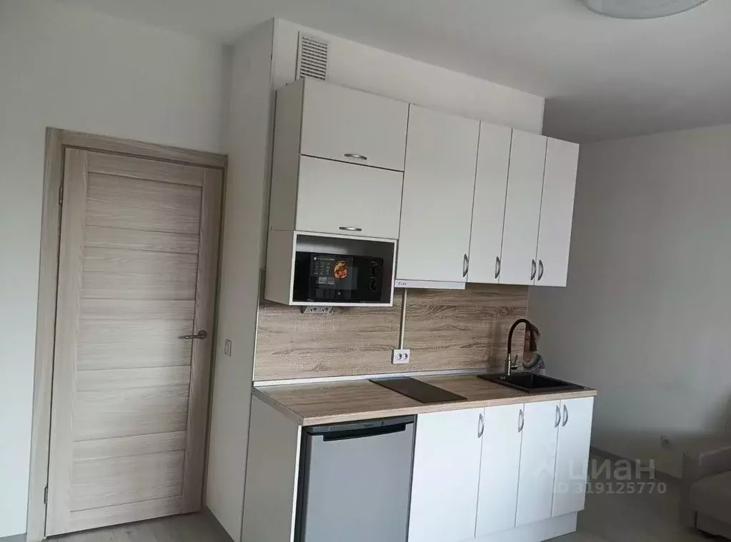 Студия Санкт-Петербург аллея Арцеуловская, 9 (25.0 м) - Фото 1