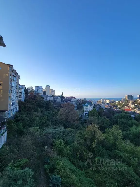 Студия Краснодарский край, Сочи ул. Верхняя Лысая Гора, 26Б (28.0 м) - Фото 1