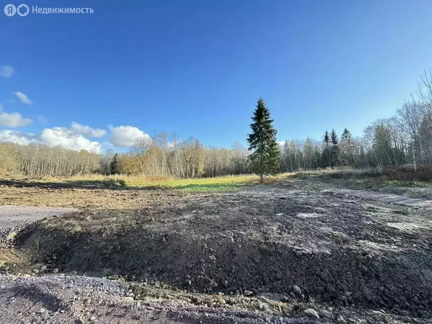 Участок в Гостилицкое сельское поселение, садоводческое некоммерческое ... - Фото 2