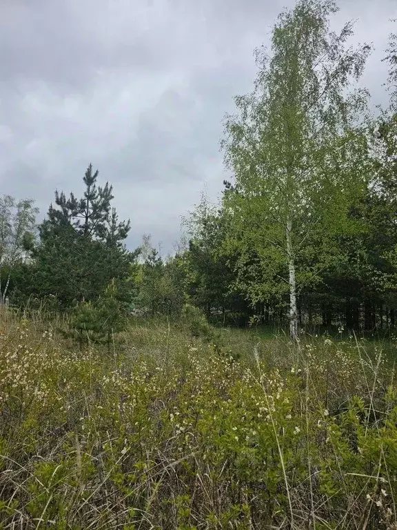 Участок, 6 сот., сельхоз (снт или днп) - Фото 0