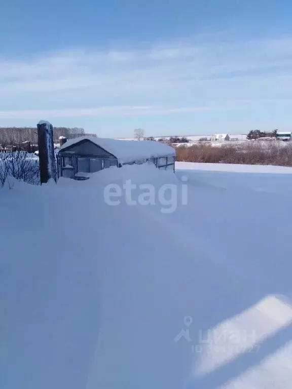 Дом в Тюменская область, Ишимский район, д. Большеудалово  (39 м) - Фото 1