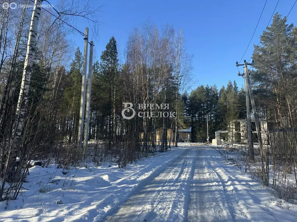 Участок в Владимирская область, Судогодский муниципальный округ, ... - Фото 2