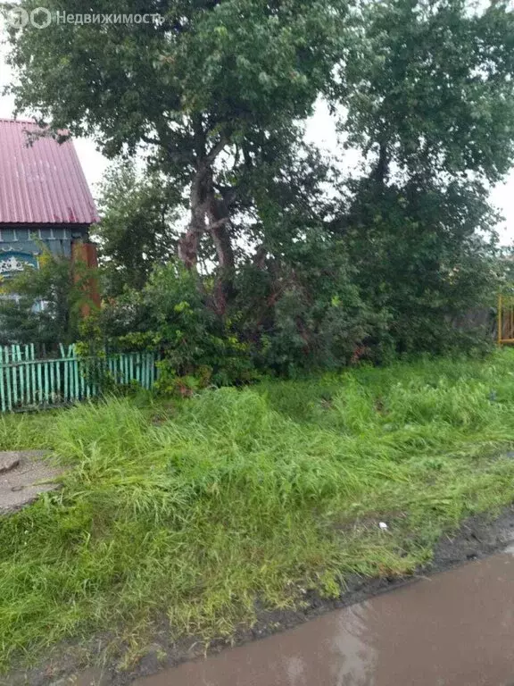 Дом в Екатеринбург, жилой район Центральный (39 м) - Фото 2