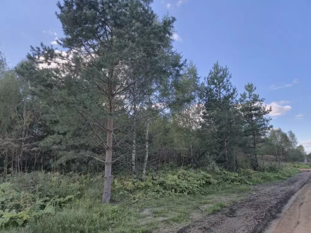 Участок в Московская область, Рузский муниципальный округ, д. ... - Фото 2