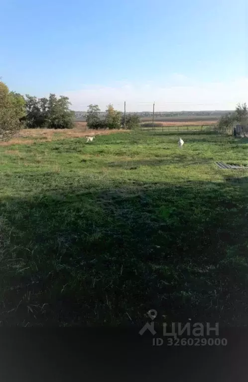 Участок в Краснодарский край, Анапа муниципальный округ, пос. ... - Фото 2