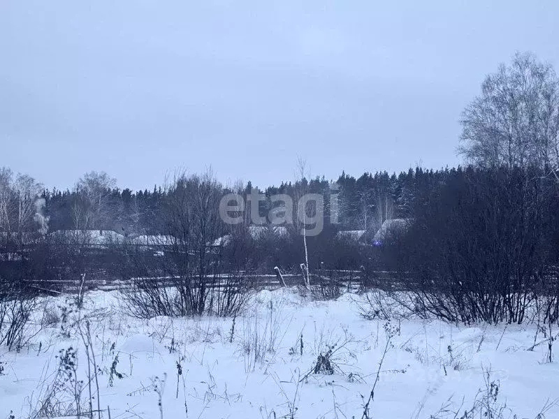 Участок в Курганская область, Каргапольский муниципальный округ, ... - Фото 1