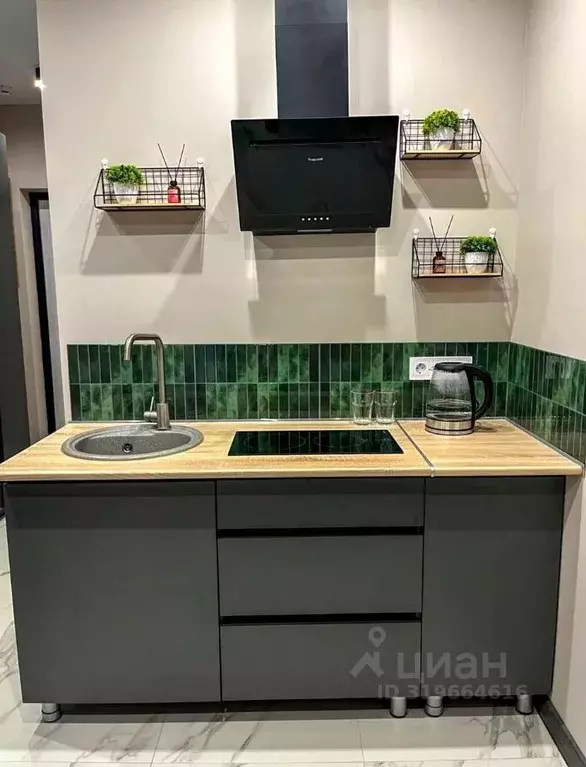 Студия Краснодарский край, Сочи Бытха мкр, ул. Ясногорская, 16/2к4 ... - Фото 0