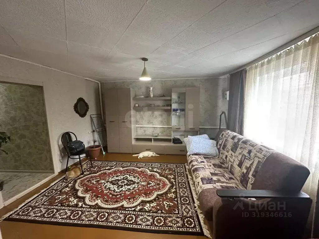 2-к кв. Воронежская область, Борисоглебск ул. Пешкова, 36 (38.6 м) - Фото 1