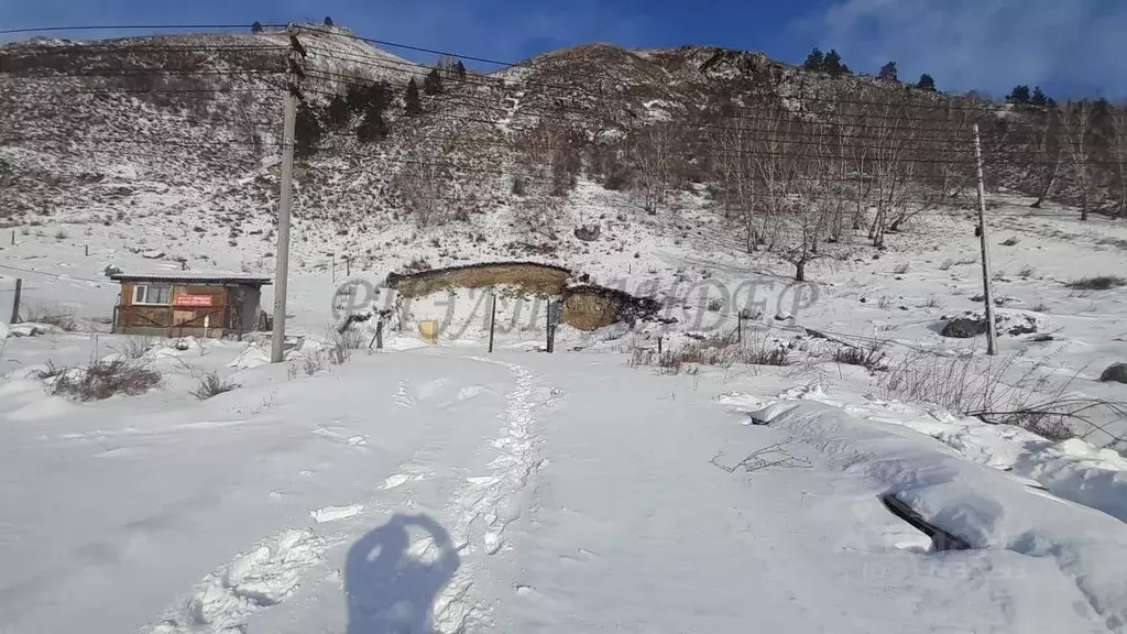 Участок в Алтай, Майминский район, с. Манжерок Подгорная ул. (11.73 ... - Фото 0