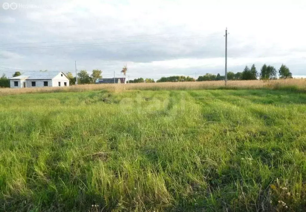 Участок в посёлок городского типа Большое Полпино, Центральная улица ... - Фото 1