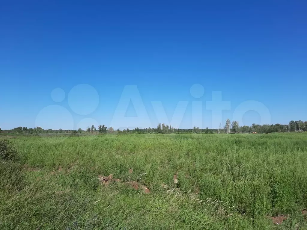 Участок 1,17 га (ИЖС) - Фото 1