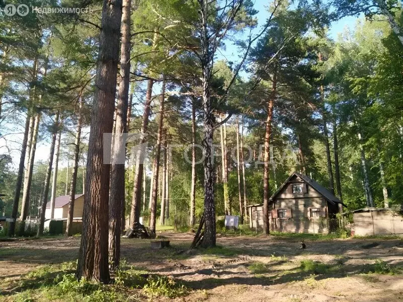 Участок в Новосибирск, 2-й жилой посёлок Заельцовский Бор, 2 (7.5 м) - Фото 1