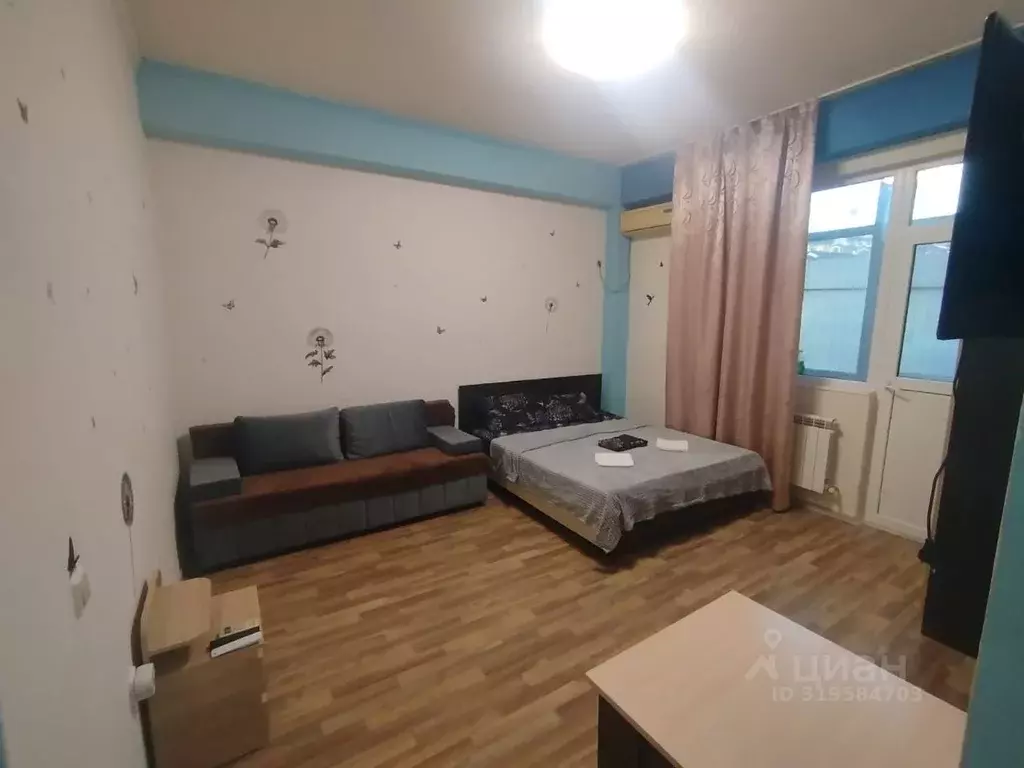 1-к кв. Краснодарский край, Сочи ул. Ленина, 276 (30.0 м) - Фото 1