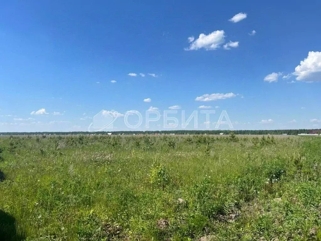 Участок в Свердловская область, Тугулым пгт ул. Лесная, 30 (14.83 ... - Фото 0