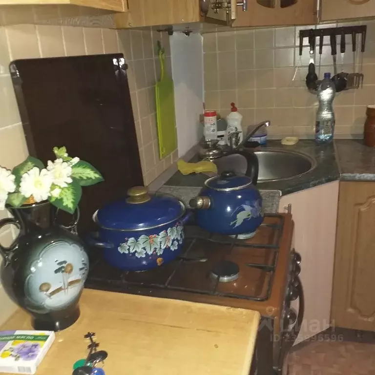 2-к кв. Пензенская область, Пенза ул. Кижеватова, 15 (57.0 м) - Фото 2