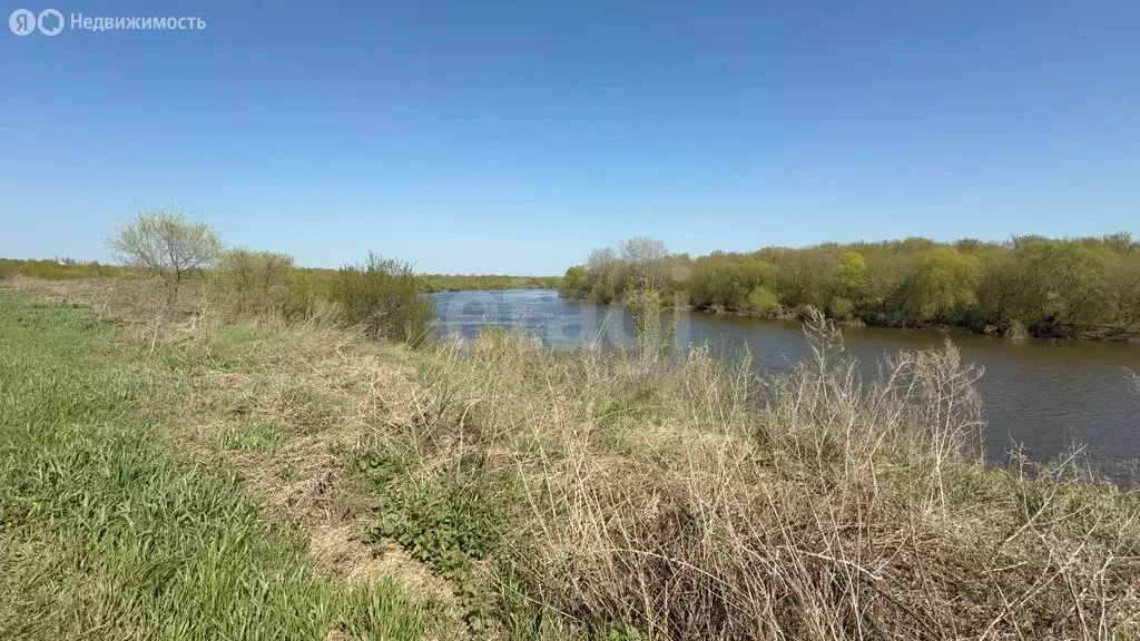 Участок в село Семилуки, Донская улица (35 м) - Фото 1