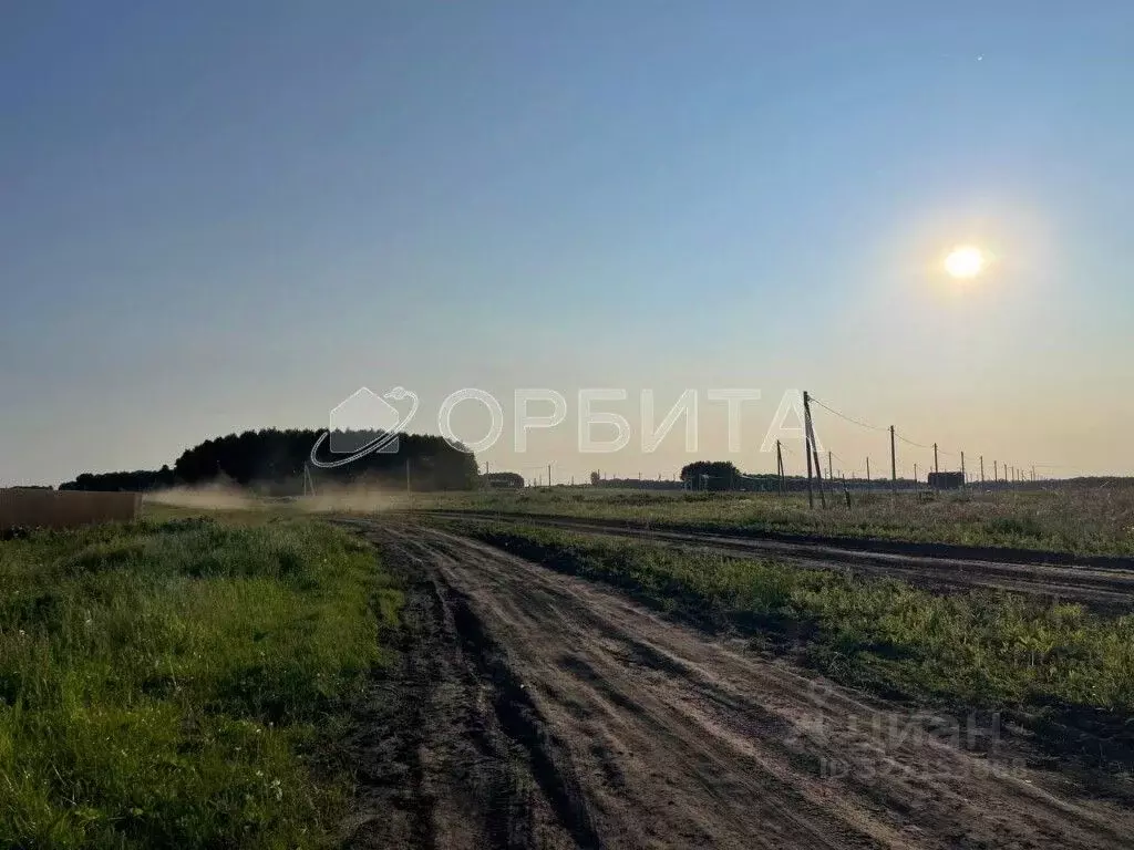 Участок в Тюменская область, Тюменский муниципальный округ, д. Большие ... - Фото 2