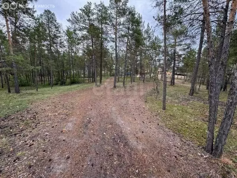 Участок в Республика Саха (Якутия), Мегино-Кангаласский улус, посёлок ... - Фото 2