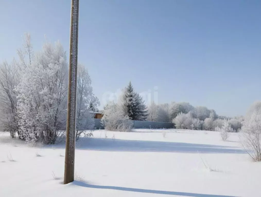 Участок в Ленинградская область, Киришский район, Пчевжинское с/пос, ... - Фото 1