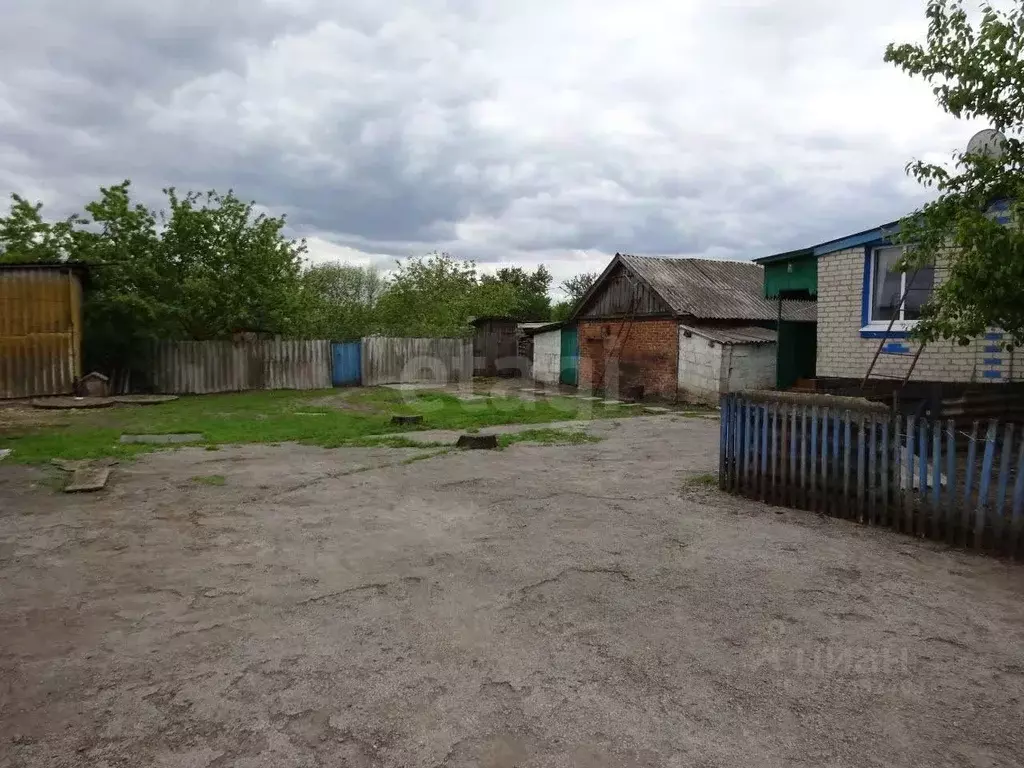 Дом в Белгородская область, Корочанский район, Кощеевское с/пос, с. ... - Фото 2