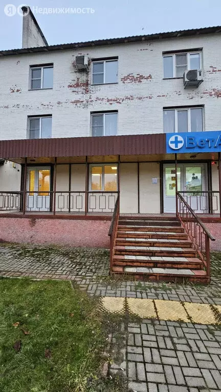 Помещение свободного назначения (30.7 м) - Фото 2