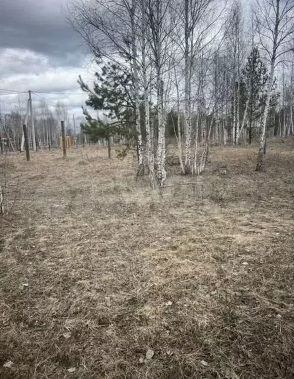 Участок 10 сот. (ИЖС) - Фото 0