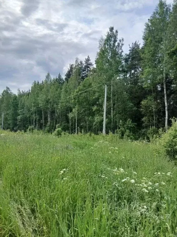 Участок, 500 сот., фермерское хоз-во - Фото 1