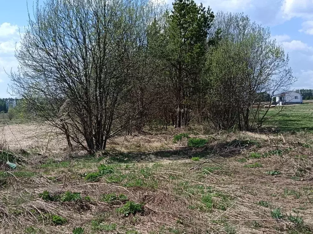 Участок в Нижегородская область, Дивеевский муниципальный округ, д. ... - Фото 2