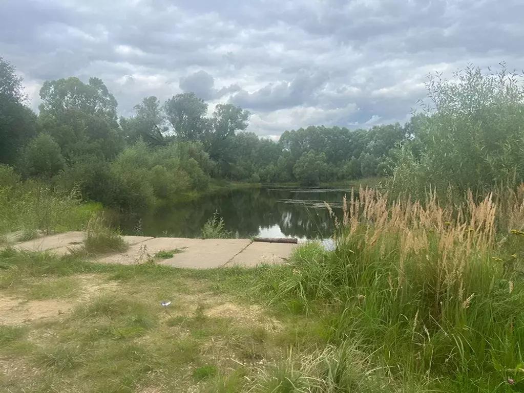 Участок в Владимирская область, Киржачский муниципальный округ, д. ... - Фото 2
