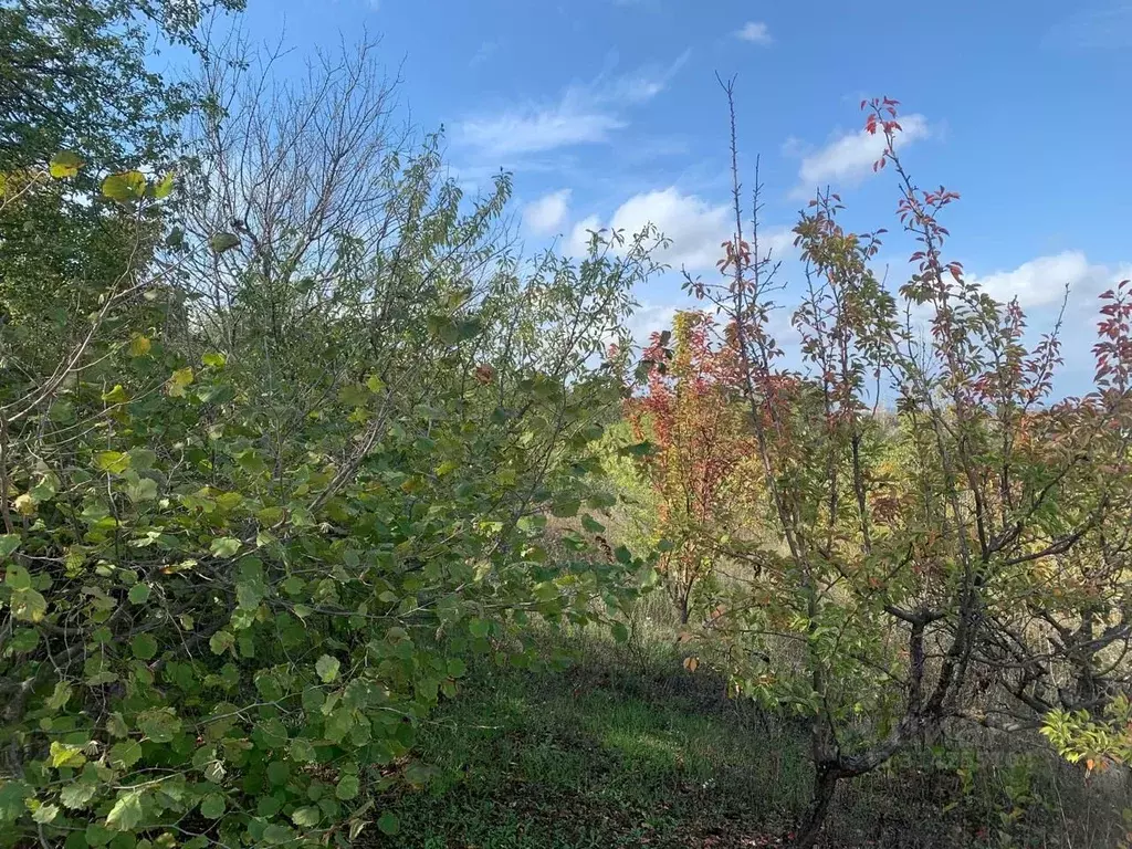 Участок в Краснодарский край, Анапа муниципальный округ, с. Гай-Кодзор ... - Фото 1