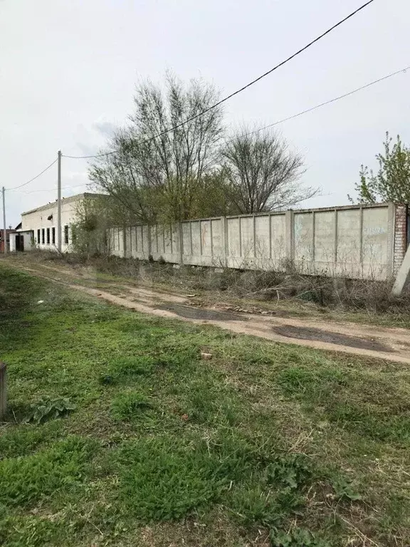 Село екатериновка самарская область. Погода в песочном безенчукский. Купино безенчук. Екатериновка самарская область. Погода в песочном безенчукский.