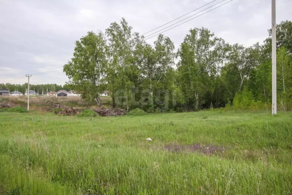 Участок в Алтайский край, Первомайский район, с. Фирсово Палитра жилой ... - Фото 1