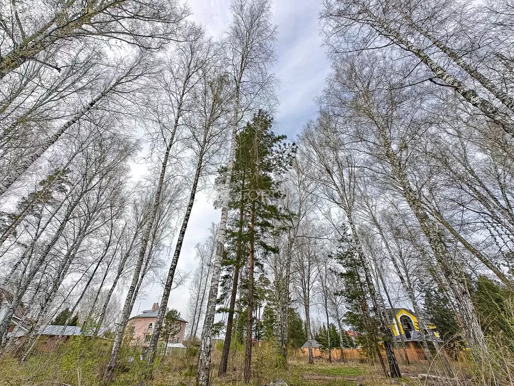 Участок в Бердск, Голубичная улица, 13 (10 м) - Фото 0