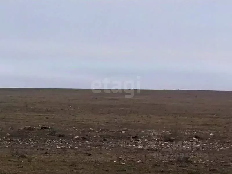 Участок в Крым, Черноморский район, Оленевское с/пос, с. Оленевка ул. ... - Фото 1