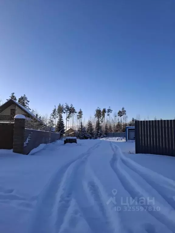 Участок в Ленинградская область, Сосновый Бор Бастион СНТ, ул. ... - Фото 1