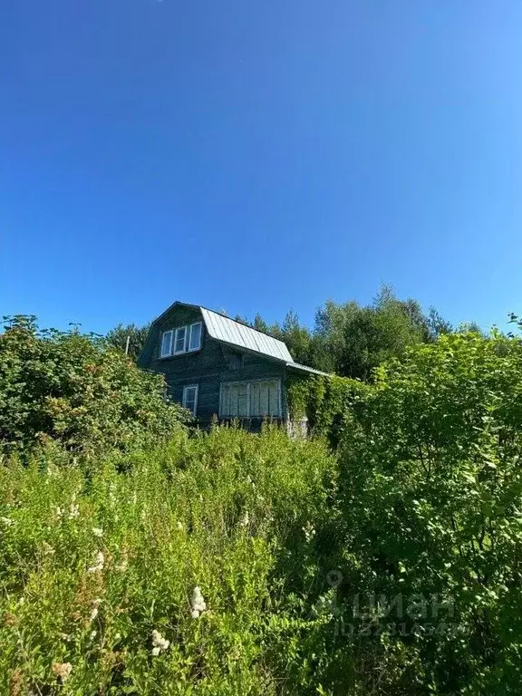 Дом в Вологодская область, д. Ташково  (50 м) - Фото 1