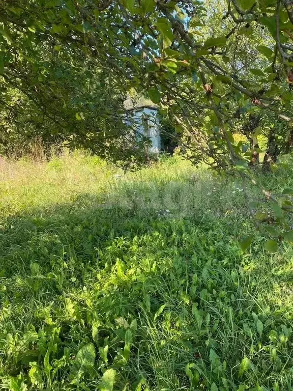 Участок 6,9 сот. (СНТ, ДНП) - Фото 1