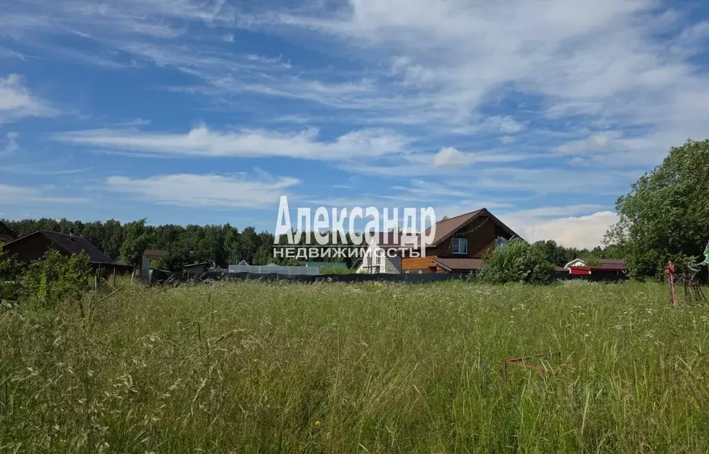 Участок в Ленинградская область, Ломоносовский район, Виллозское ... - Фото 1