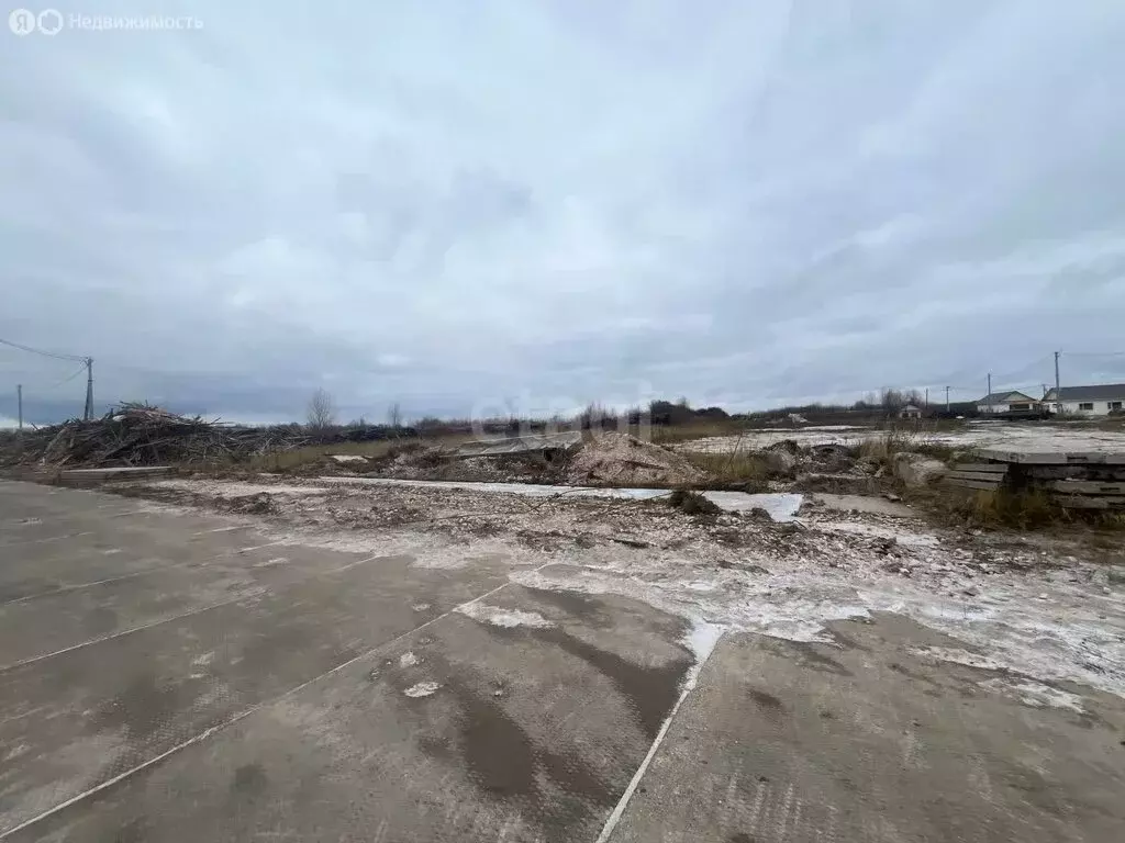 Участок в округ Муром, село Борисово, Новая улица (100 м) - Фото 1