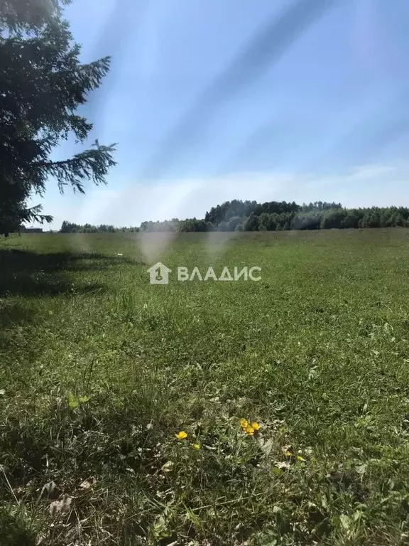 Участок в Бурятия, Кабанский район, с. Сухая  (1.7 сот.) - Фото 2