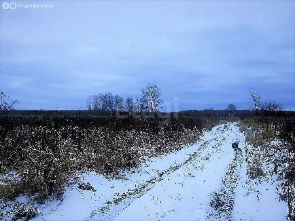 Участок в село Толмачево, СДТ Русь (5 м) - Фото 1