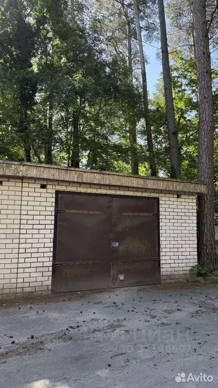 Гараж в Калининградская область, Светлогорск Садовая ул., 6 (28 м) - Фото 2