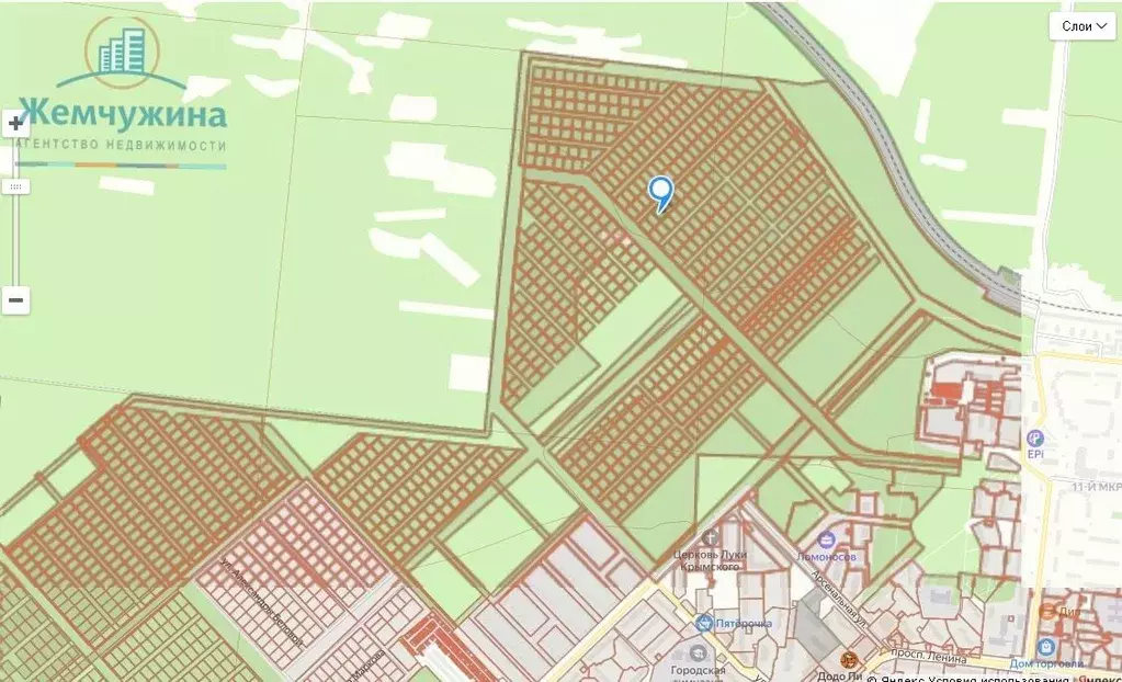 Участок в Ульяновская область, Димитровград ул. Курчатова (10.0 сот.) - Фото 1